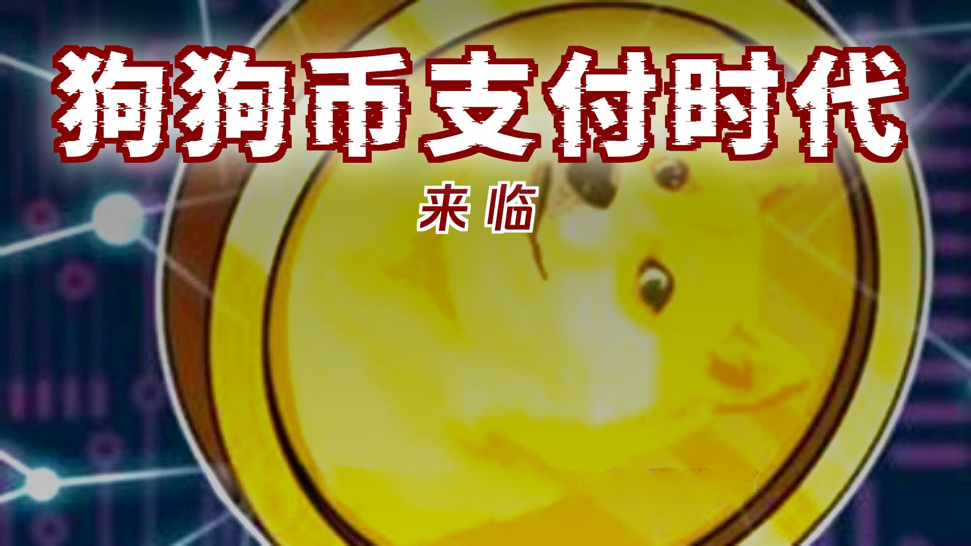 狗狗币冲破25.04美元价位，多头行情是否已经开启？的简单介绍