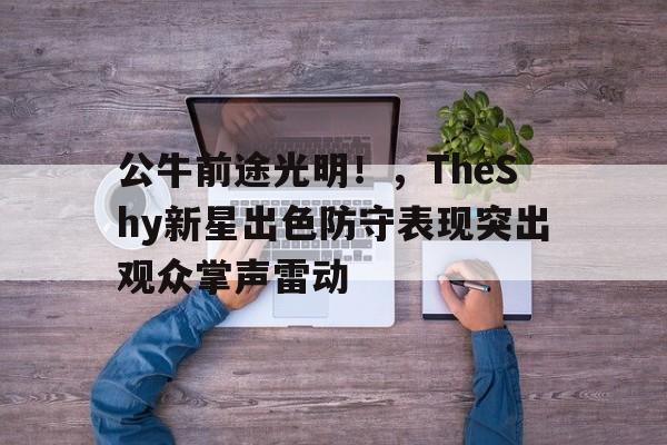 公牛前途光明！，TheShy新星出色防守表现突出观众掌声雷动的简单介绍-爱游戏体育官网