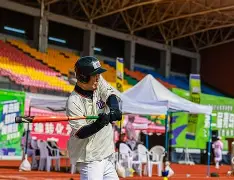 板球杯赛焦点战：天山迅豹队淘汰对手闽南巨龙队，外线火力全开。反击锐度十足